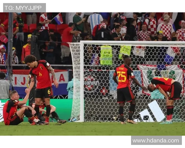 纳因戈兰谈与加西亚教练的良好关系及比利时晋级世界杯的信心